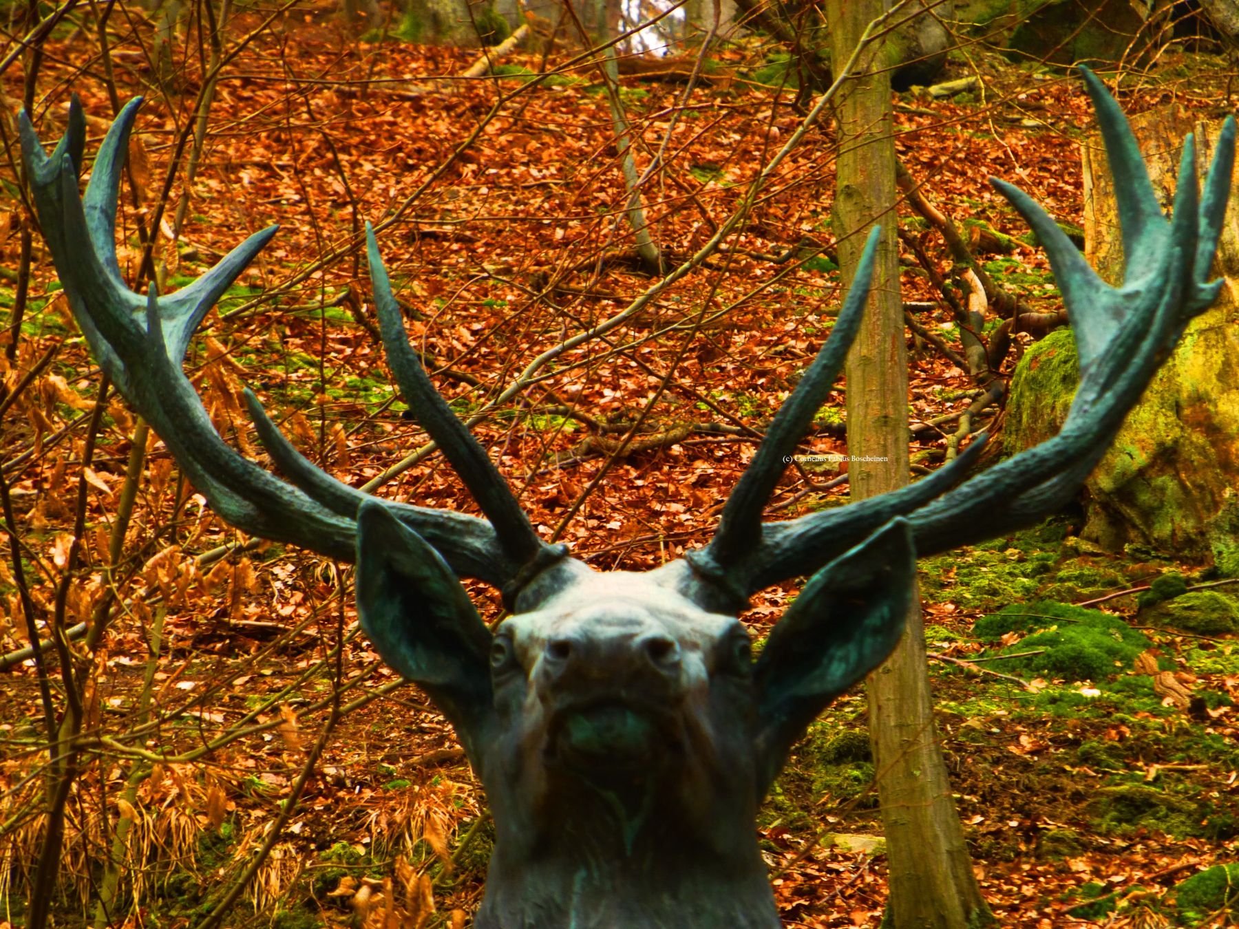 Ehrwürdiges Hirschdenkmal bei Stolberg im Südharz.