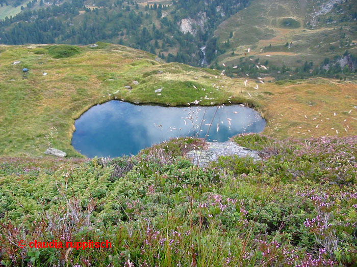 Ein Bergsee im Ötztal