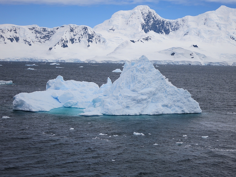 Eisberg vor Cuverville Island