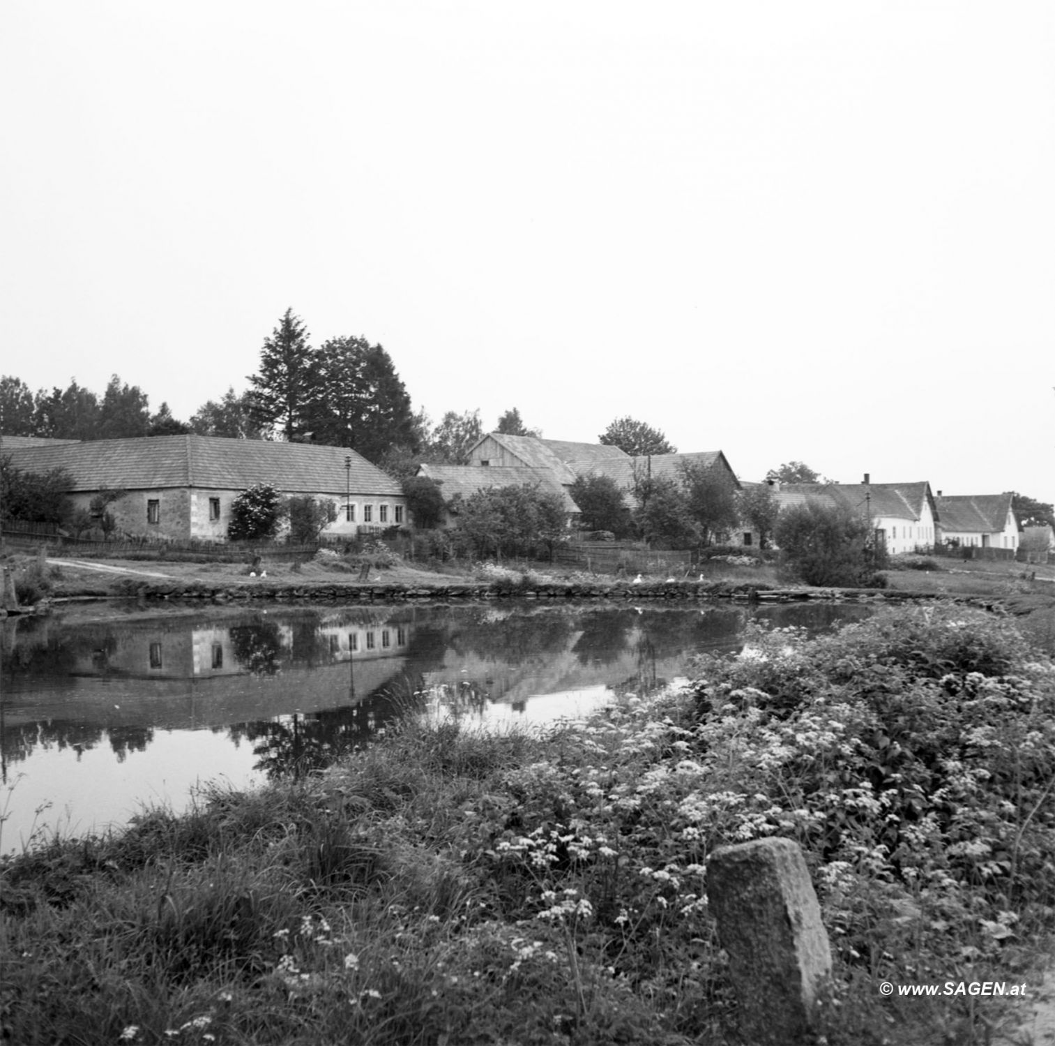 Ententeich Waldviertel