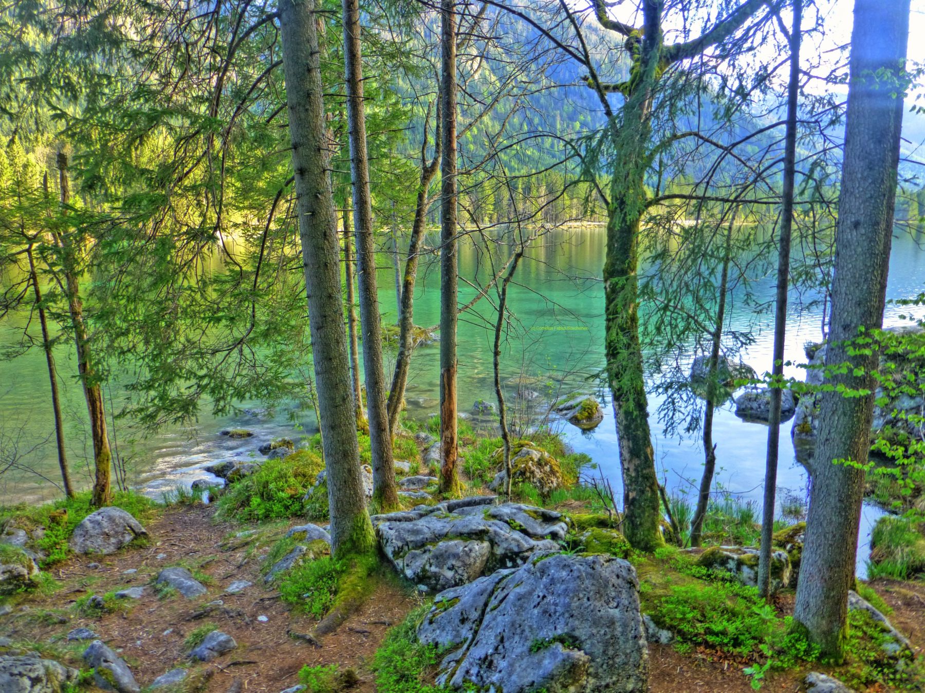 Entspannen am Hintersee bei Ramsau