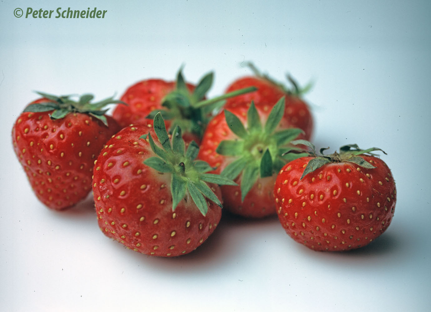 Erdbeeren