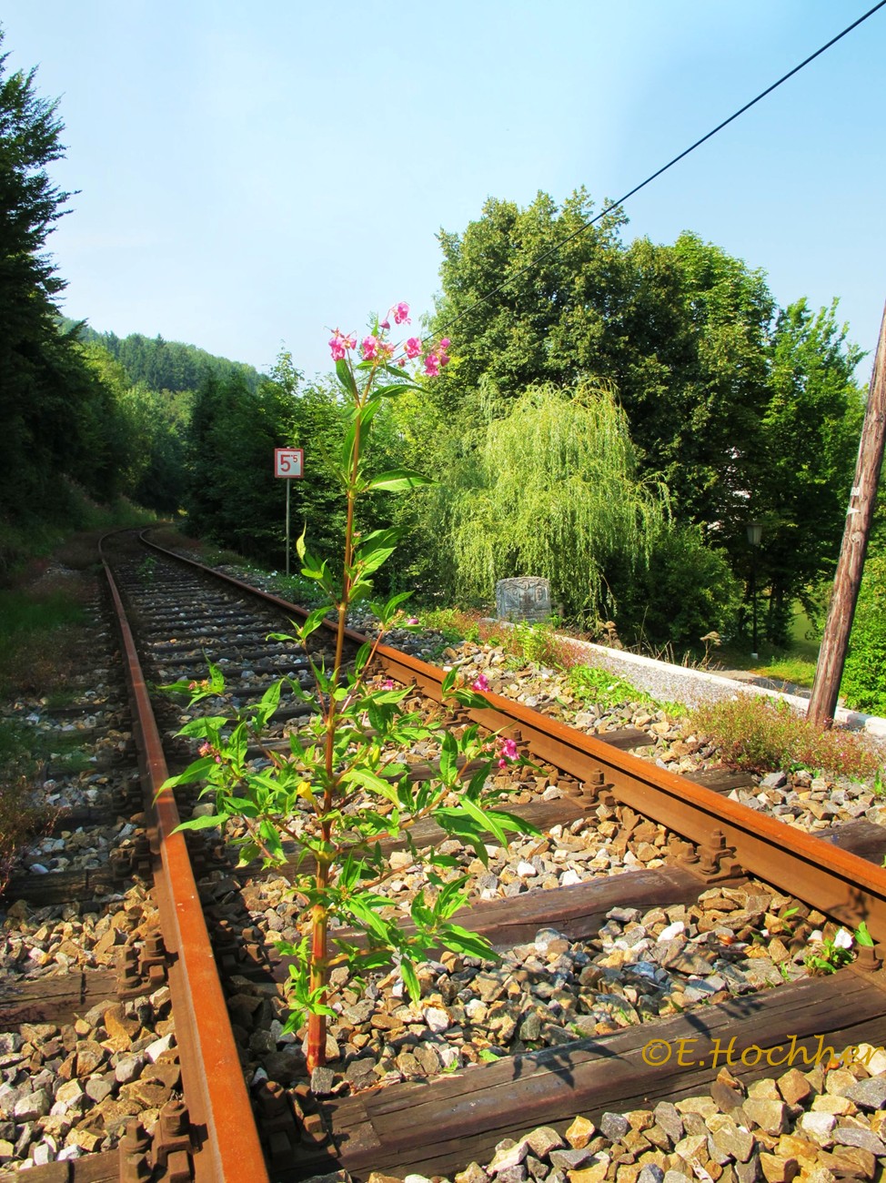 Erlauftalbahn