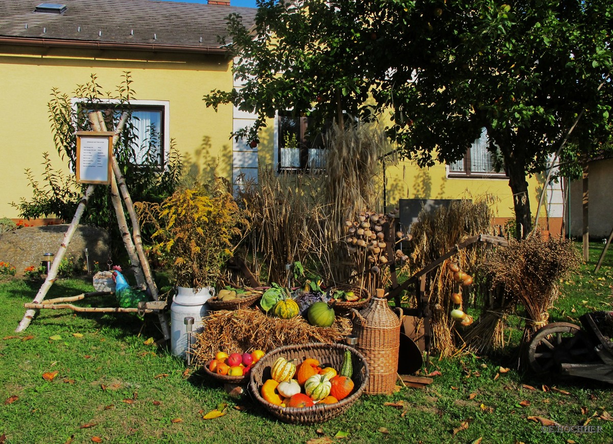 Erntedank im Vorgarten