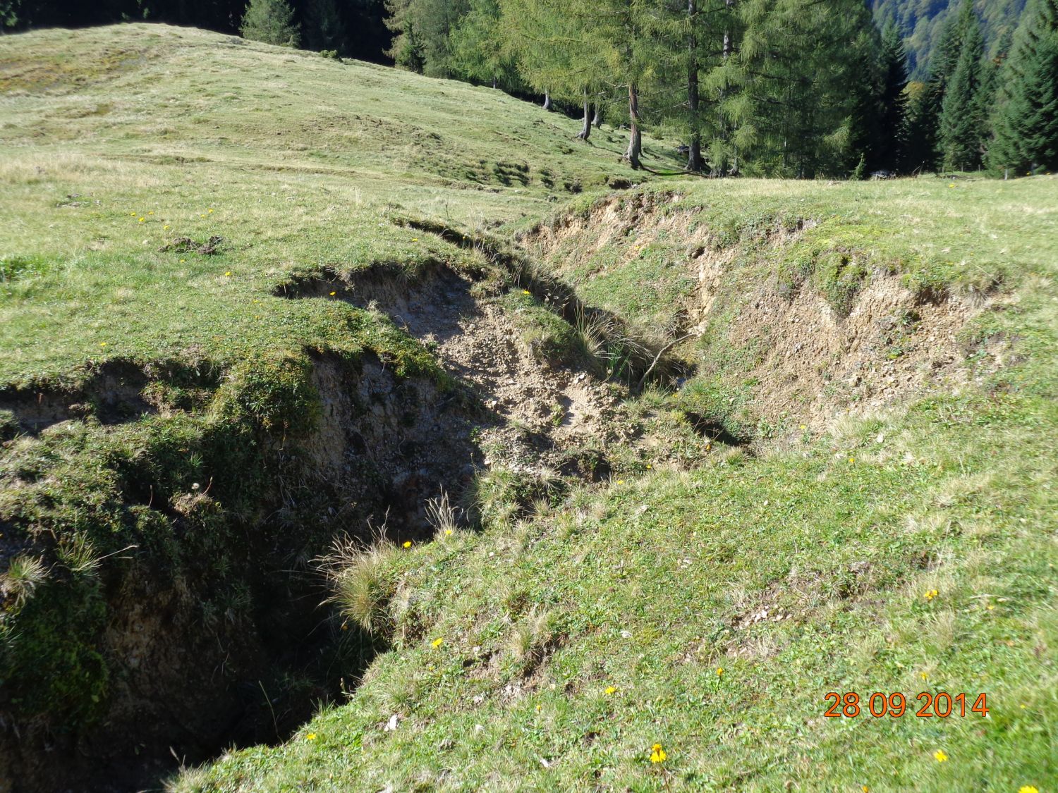 Erosion auf der Alm