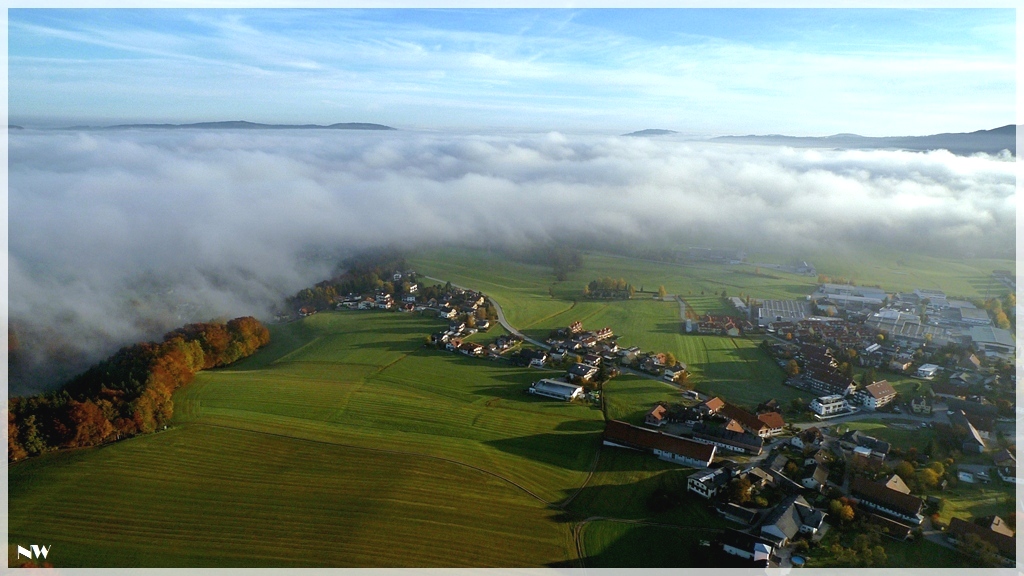 Eugendorf mit dem Wallersee im Hintergrund