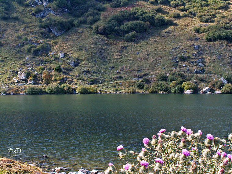 Falkertsee