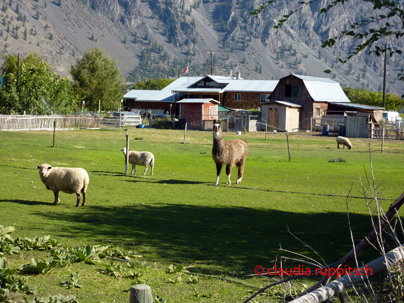 Farm im Similkameen Valley, Kanada