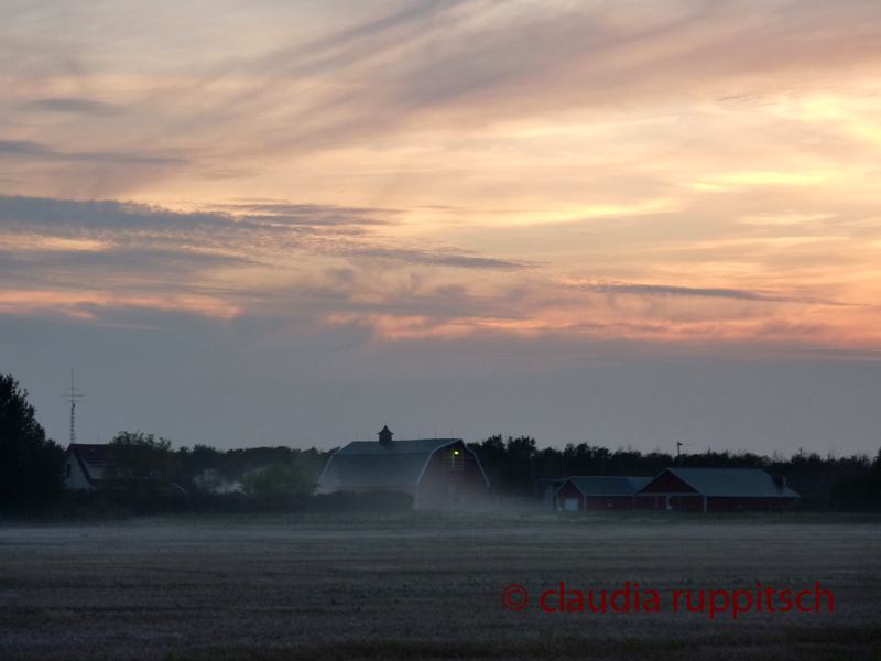 Farmen in Saskatchewan, Kanada