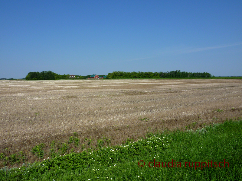 Farmen in Saskatchewan, Kanada