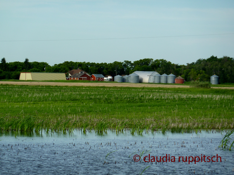 Farmen in Saskatchewan, Kanada