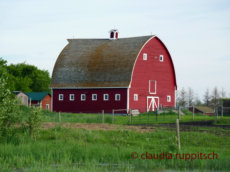 Farmen in Saskatchewan, Kanada