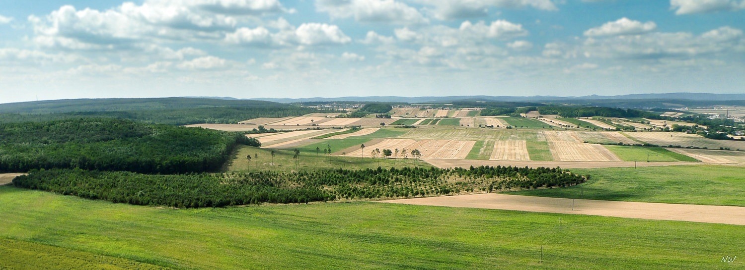 Felder nahe St. Margarethen