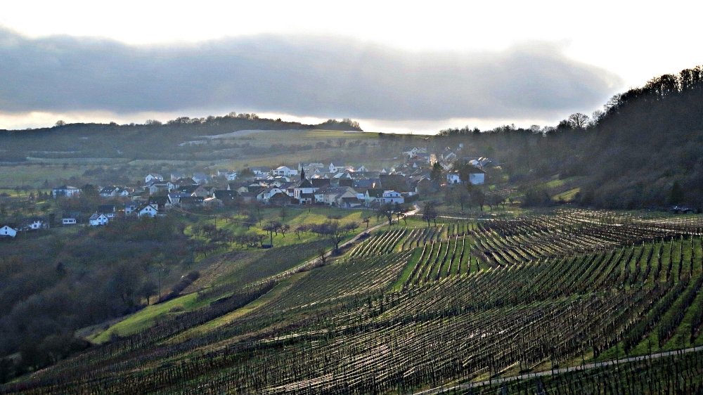 Fellerich mit Weinberg im schneelosen Winter