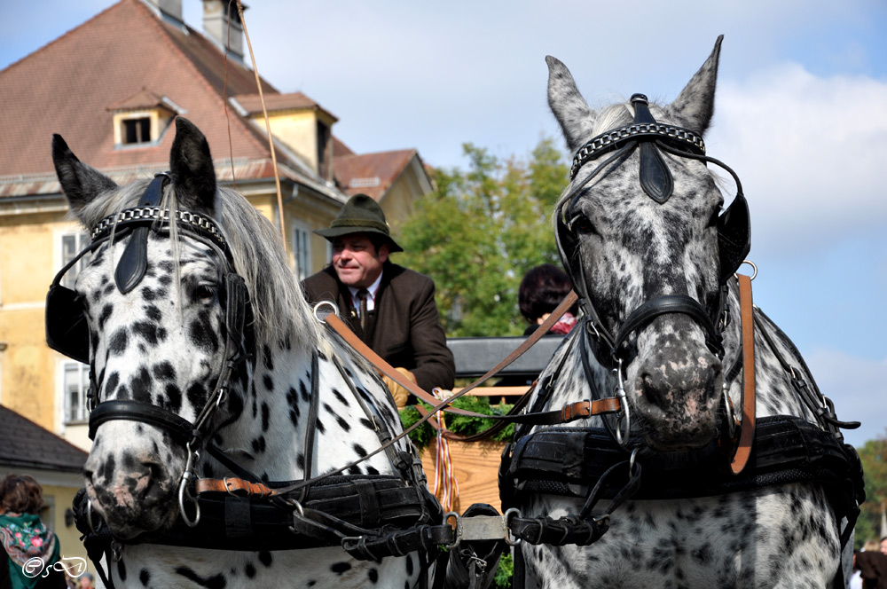 Festzug Kärntner Volksabstimmung