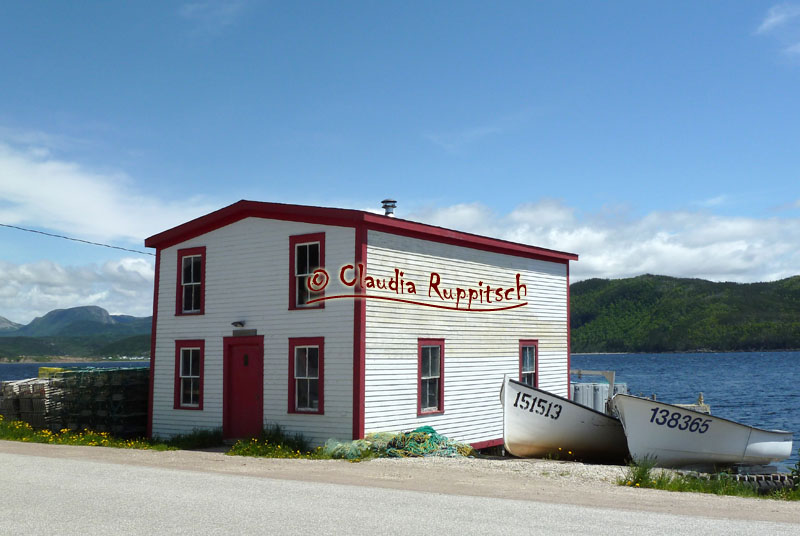 Fischerhaus am Woody Point, Neufundland