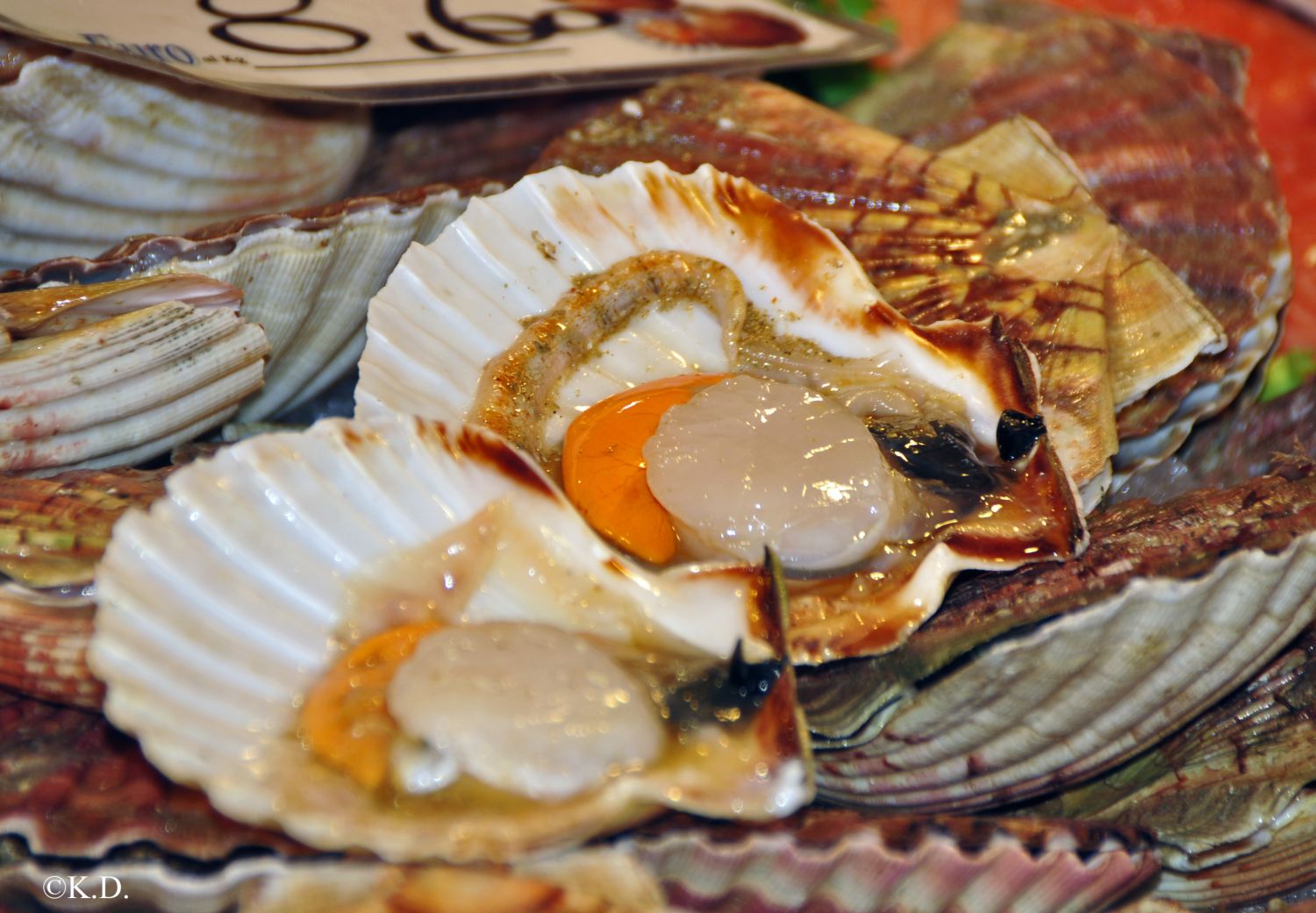 Fischmarkt in Venedig - Jakobsmuscheln