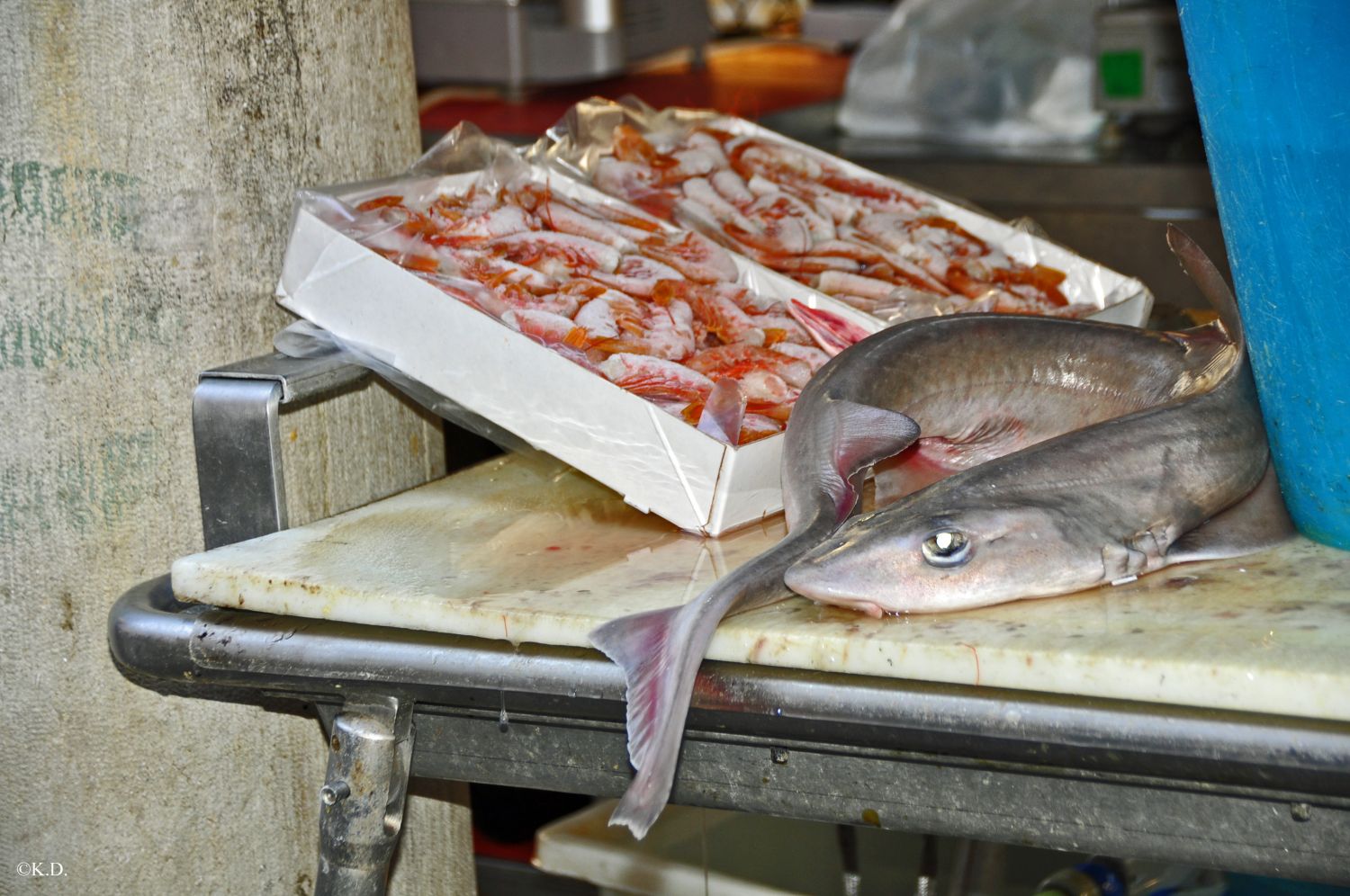 Fischmarkt in Venedig