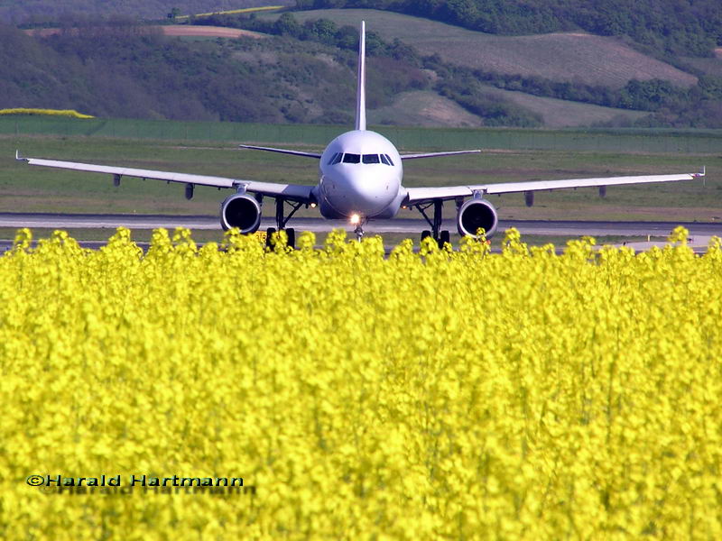 Flugplatz und Farbe 1/6