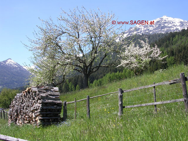 Frühling in Tirol