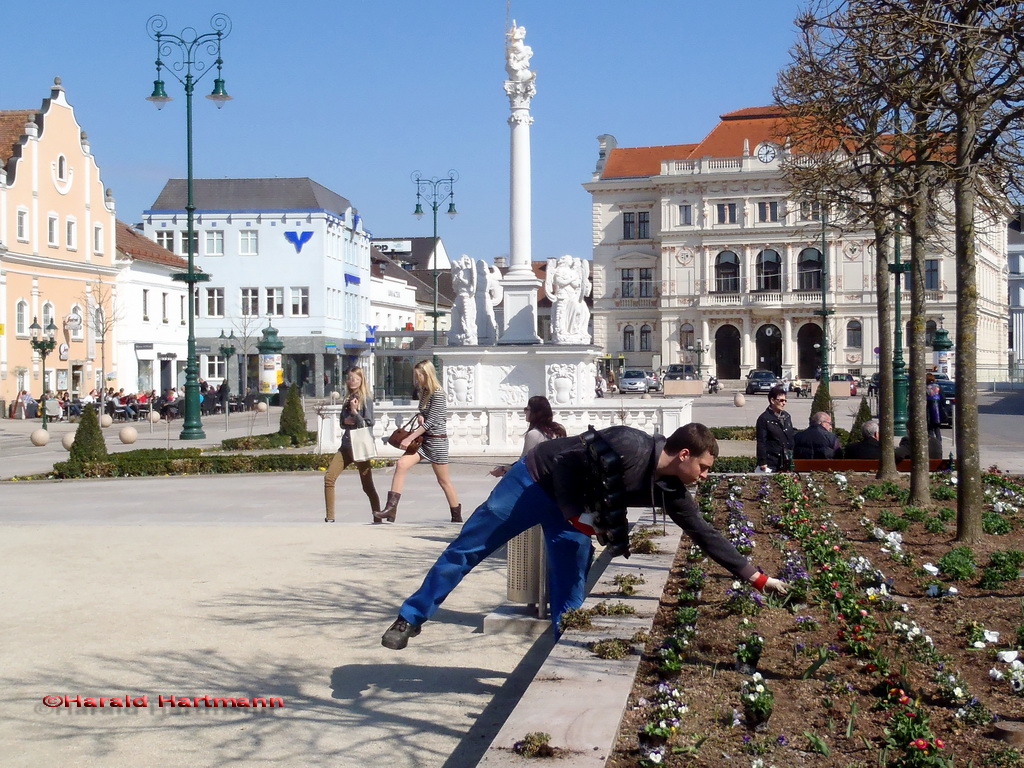 Frühlingsbeginn