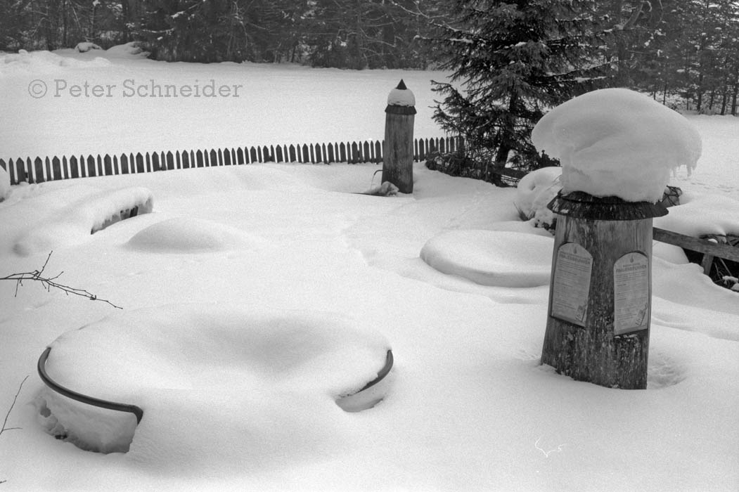 Frauenbrunnen