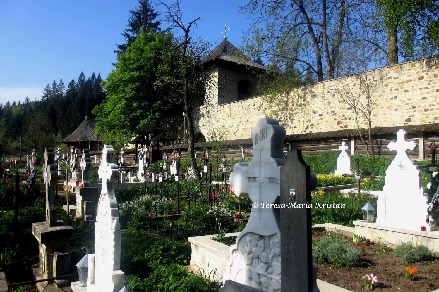 Friedhof beim Moldaukloster Voronet