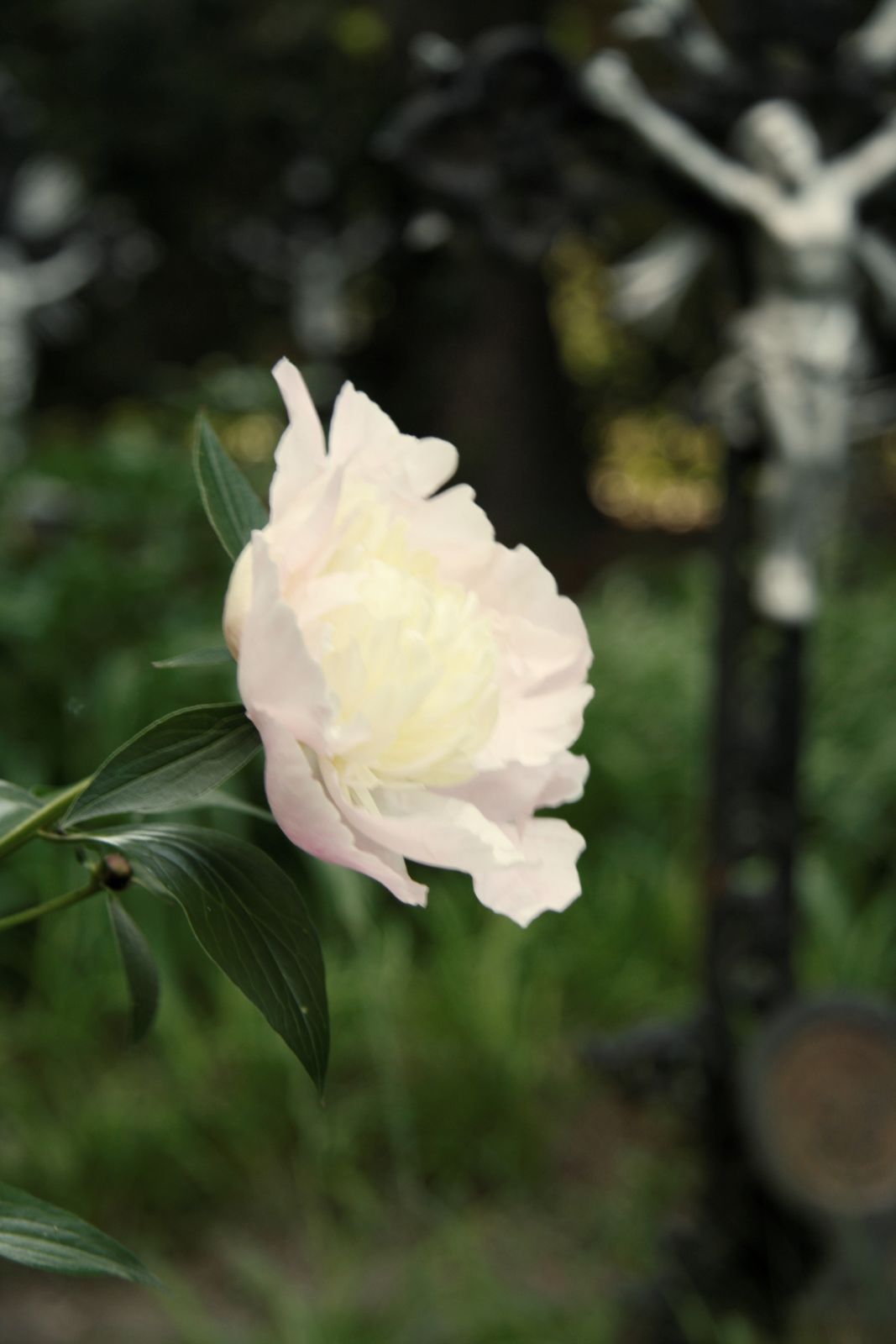 Friedhof der Namenlosen