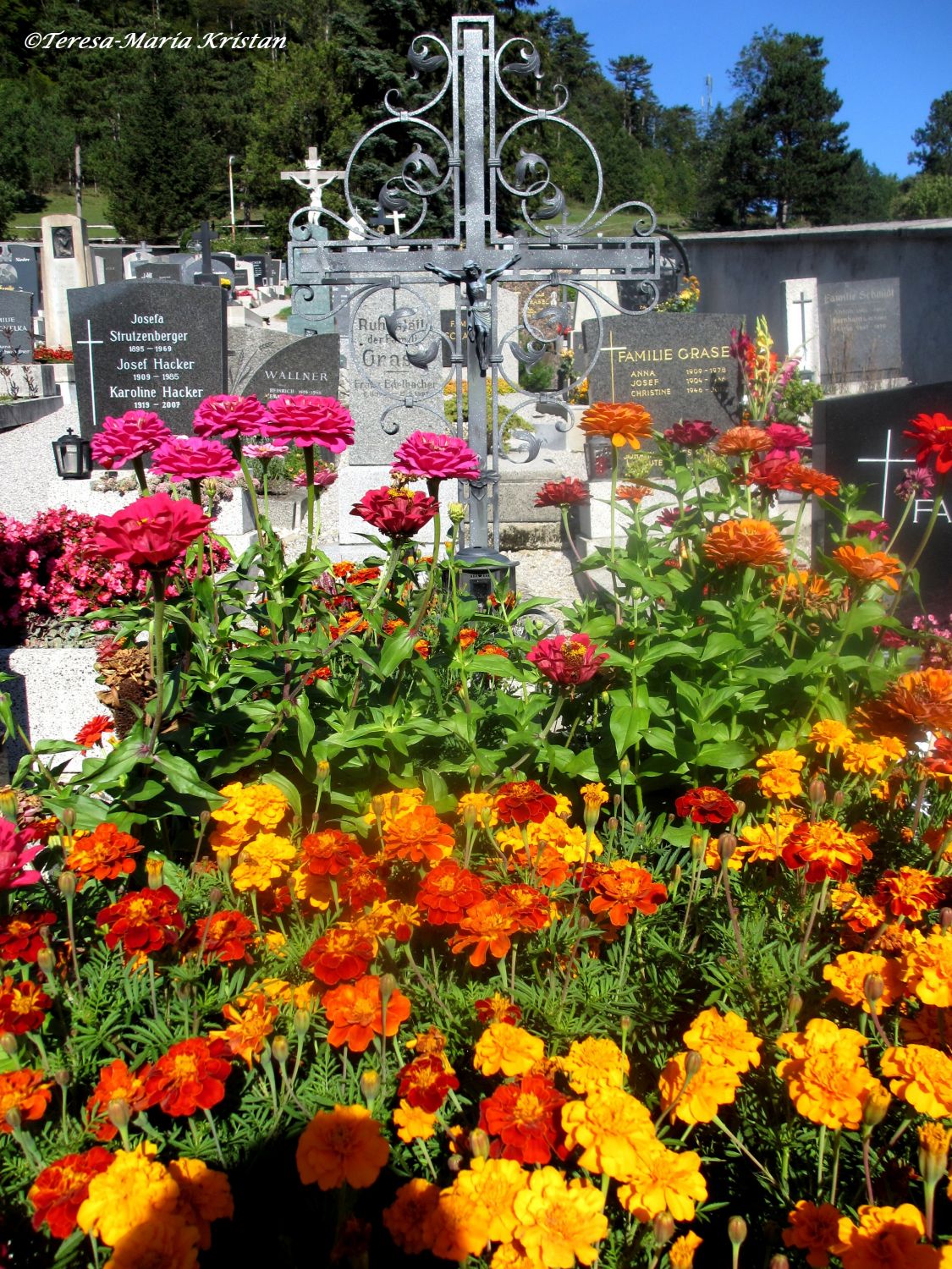 Friedhof Maria Raisenmarkt