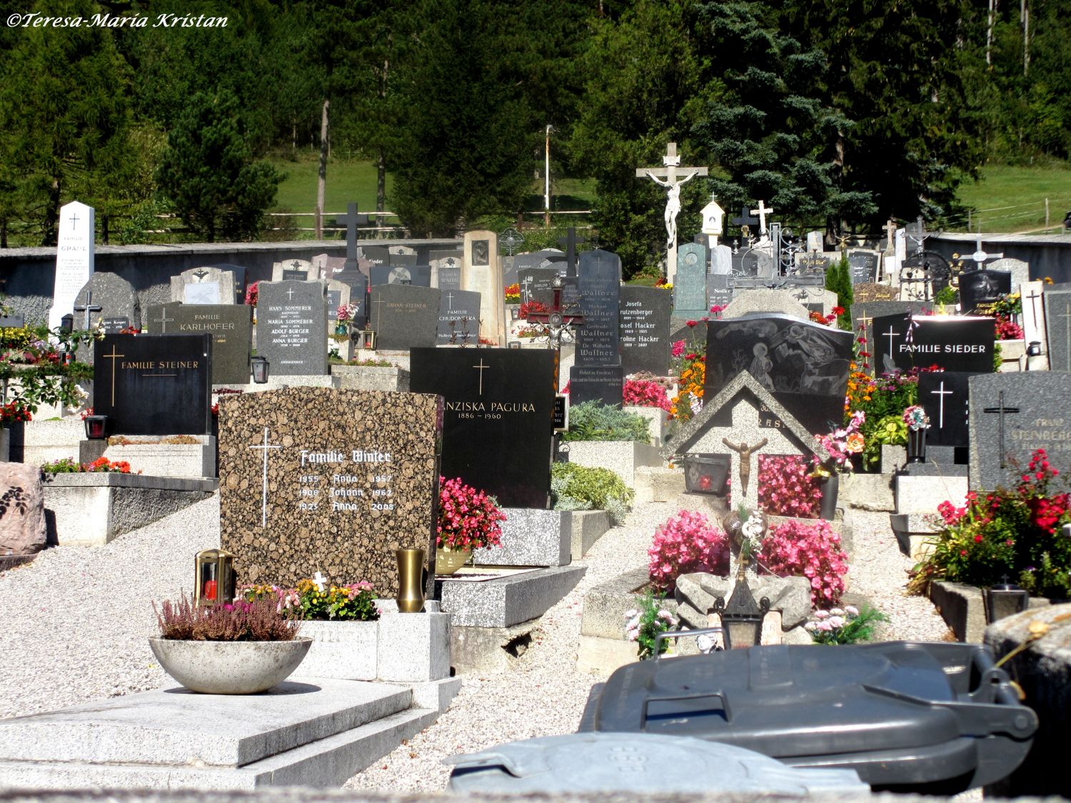 Friedhof Maria Raisenmarkt