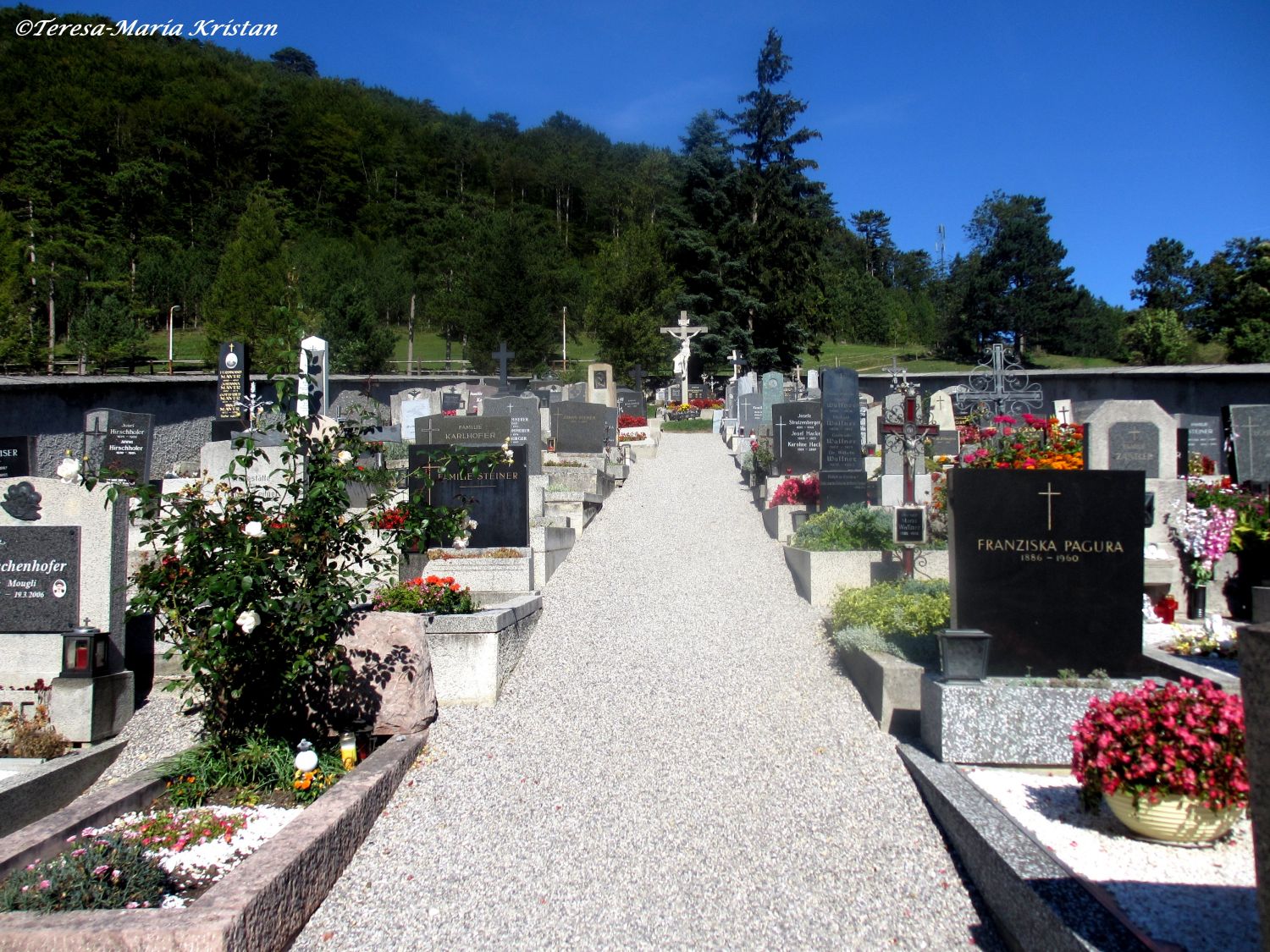 Friedhof Maria Raisenmarkt