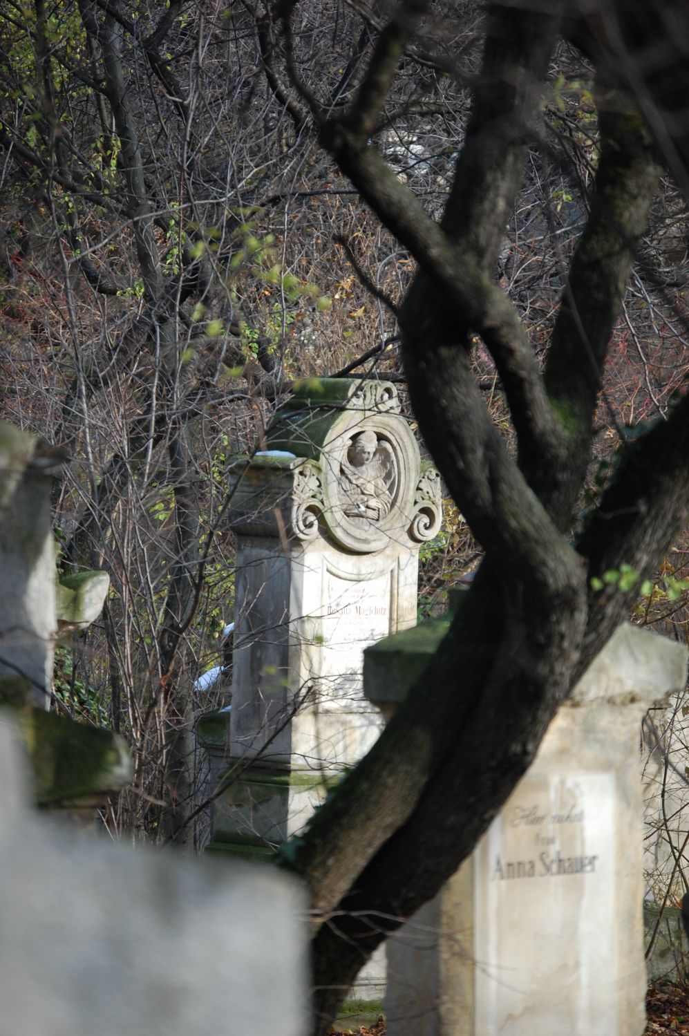 Friedhof St.Marx in Wien