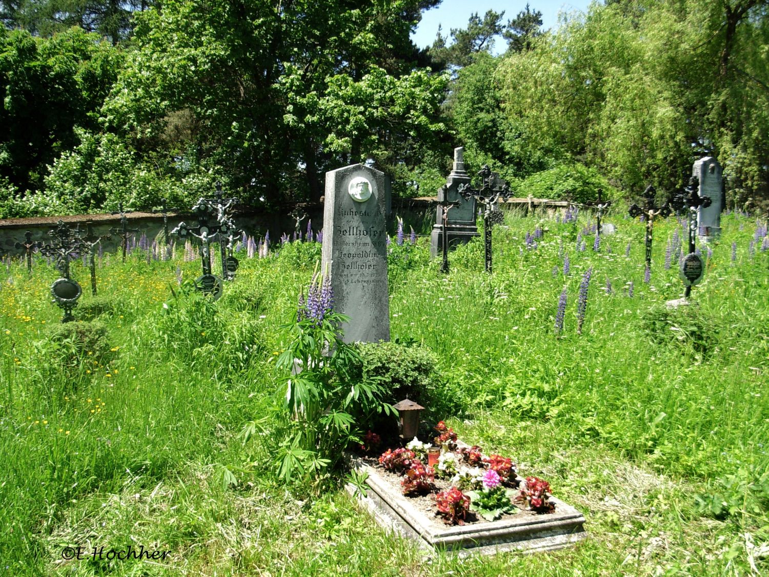 Friedhof von Döllersheim