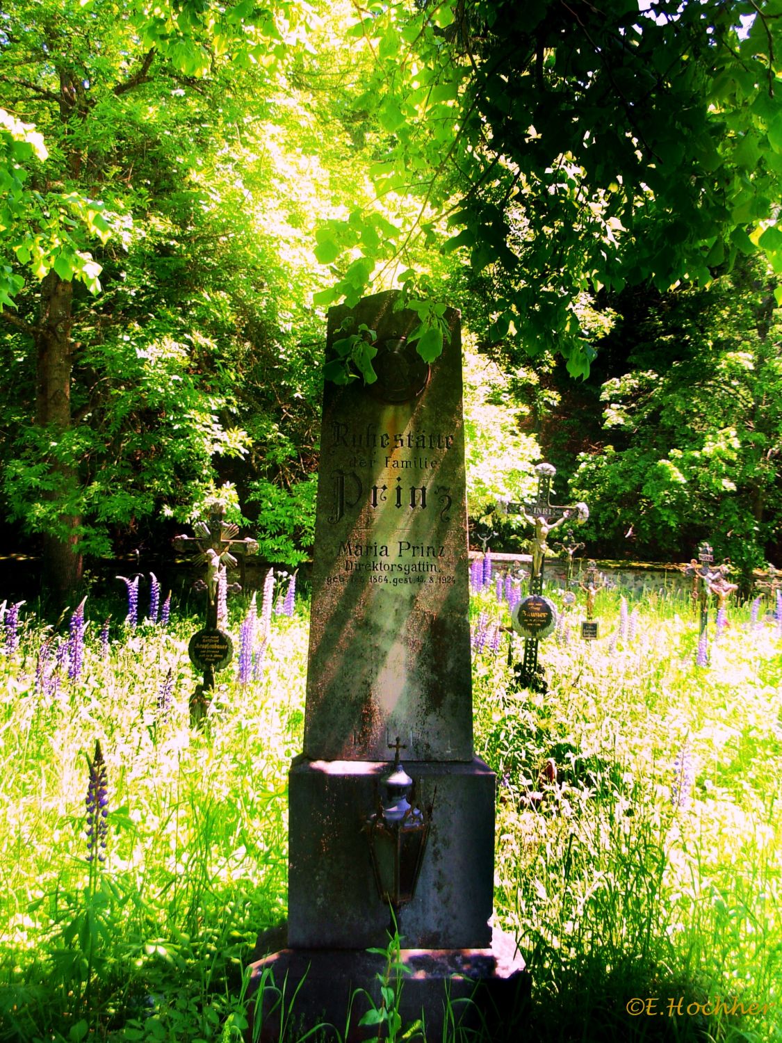 Friedhof von Döllersheim