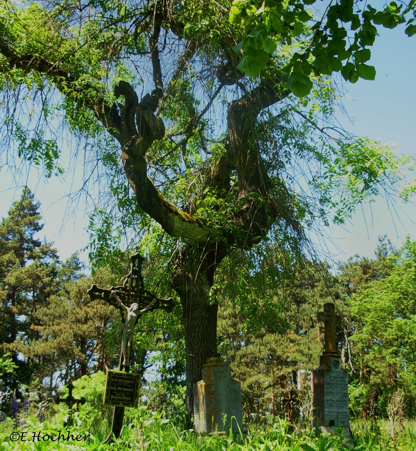 Friedhof von Döllersheim