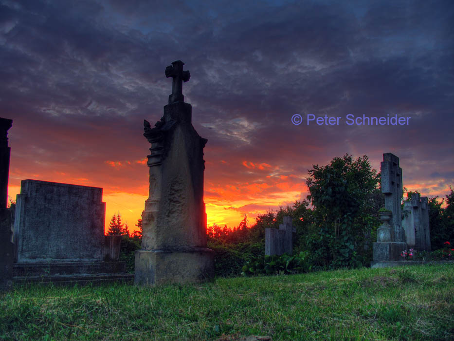 Friedhof