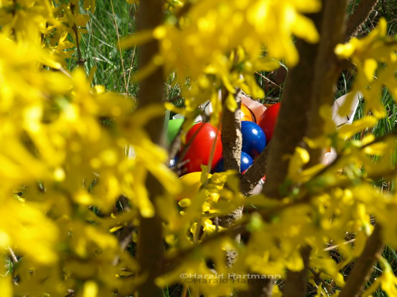 Frohe Ostern