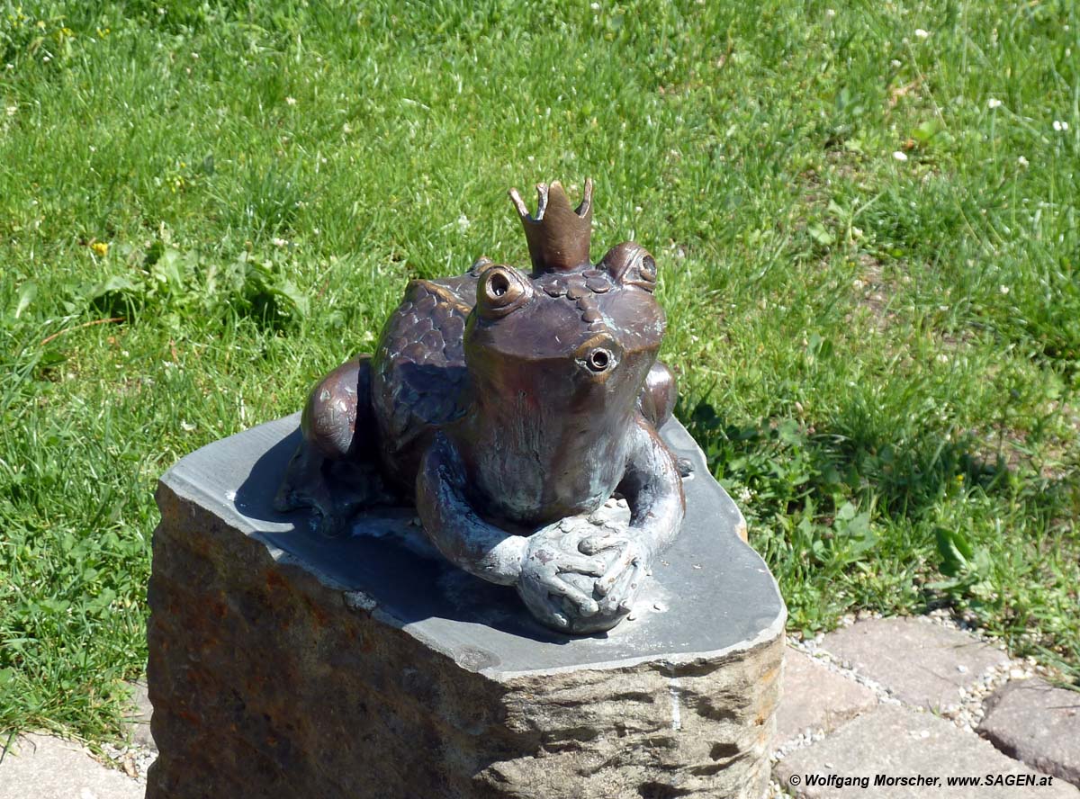 Froschkönig im Botanischen Garten