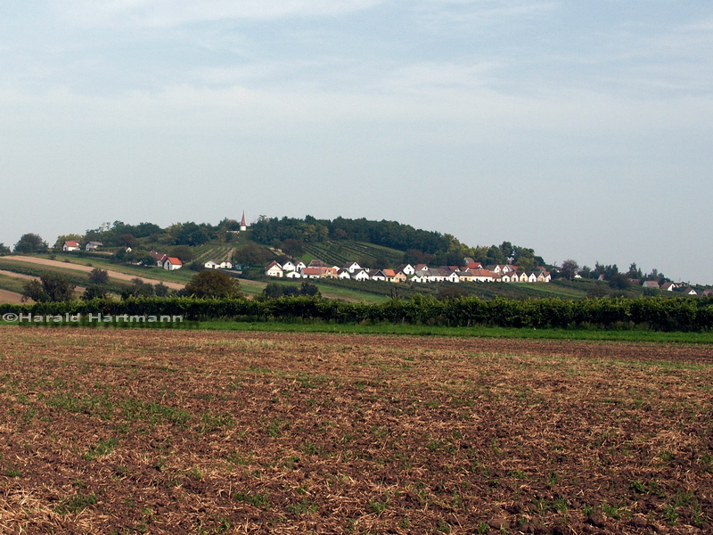 Galgenberg Wildendürnbach