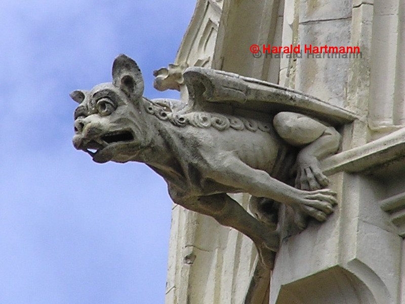 Gargoyle, gelockt