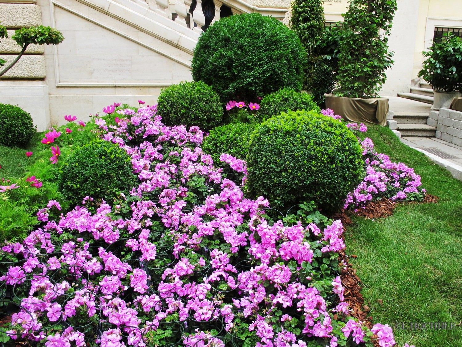 Garten der Lüste - Schweizer Hof Wiener Hofburg