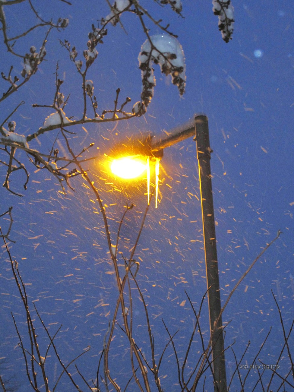 Garten-Winter