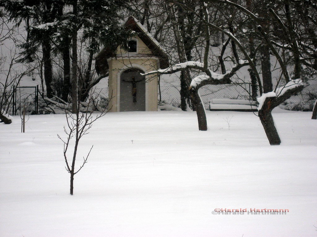 Gartenwinter nahe Wien