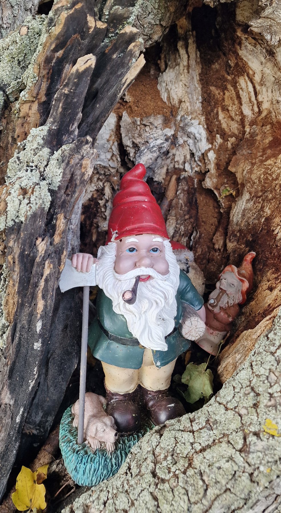 Gartenzwerg in einem Baum in Siegenfeld