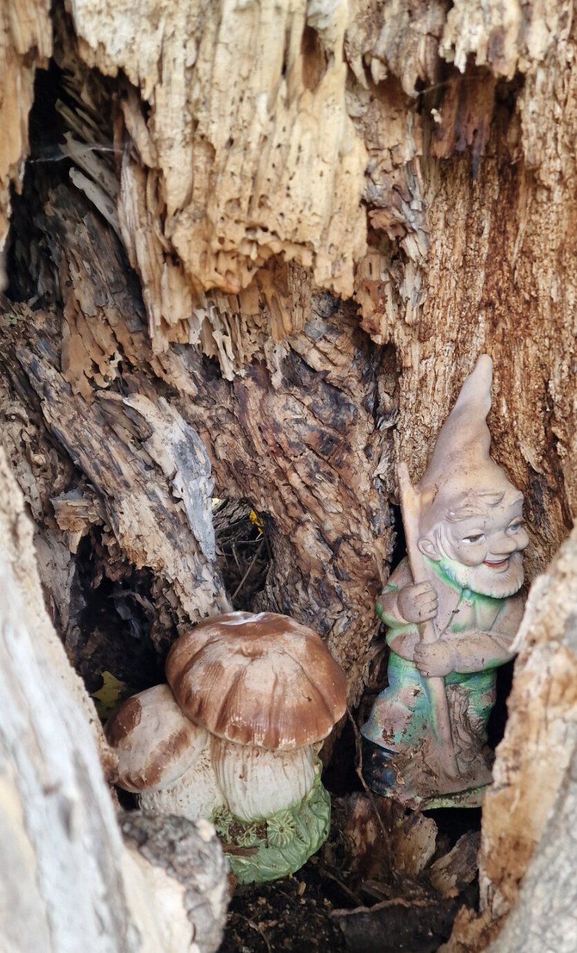 Gartenzwerg in einem Baum in Siegenfeld