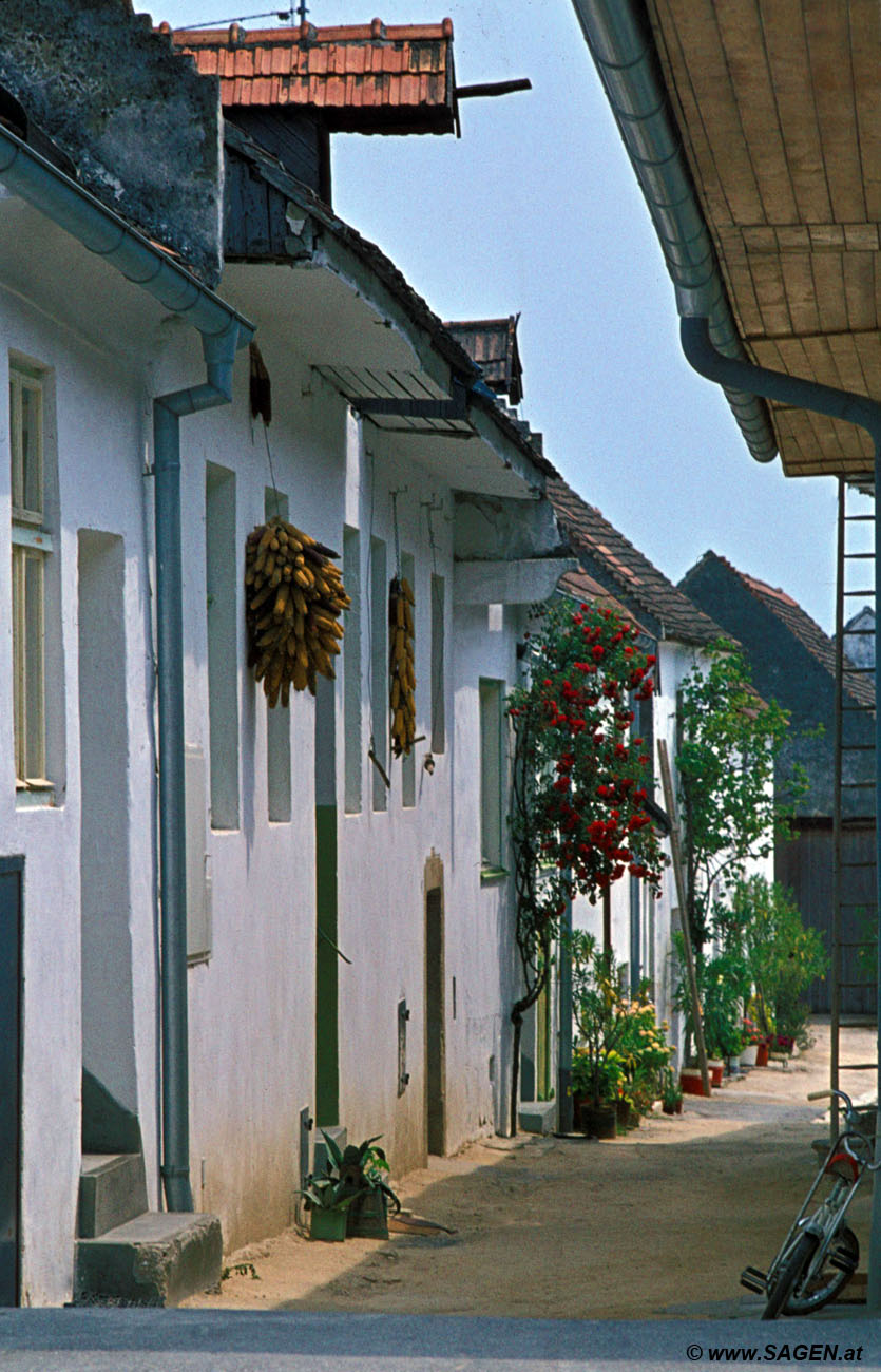 Gasse in Mörbisch am See