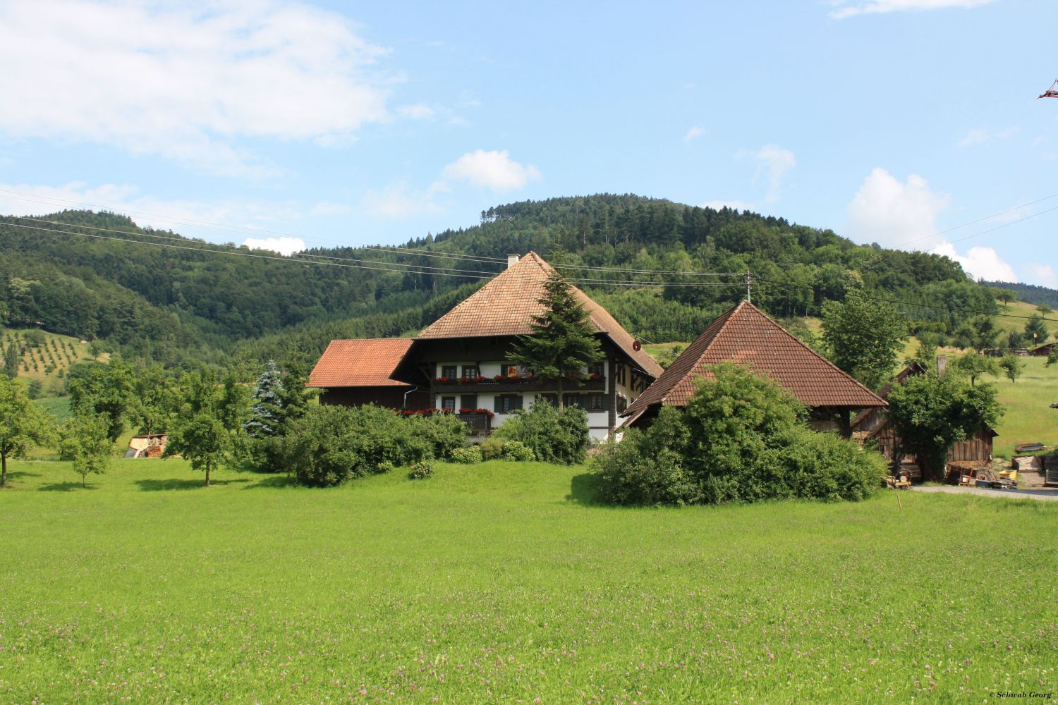 Gassenwirtshof in Welschensteinach