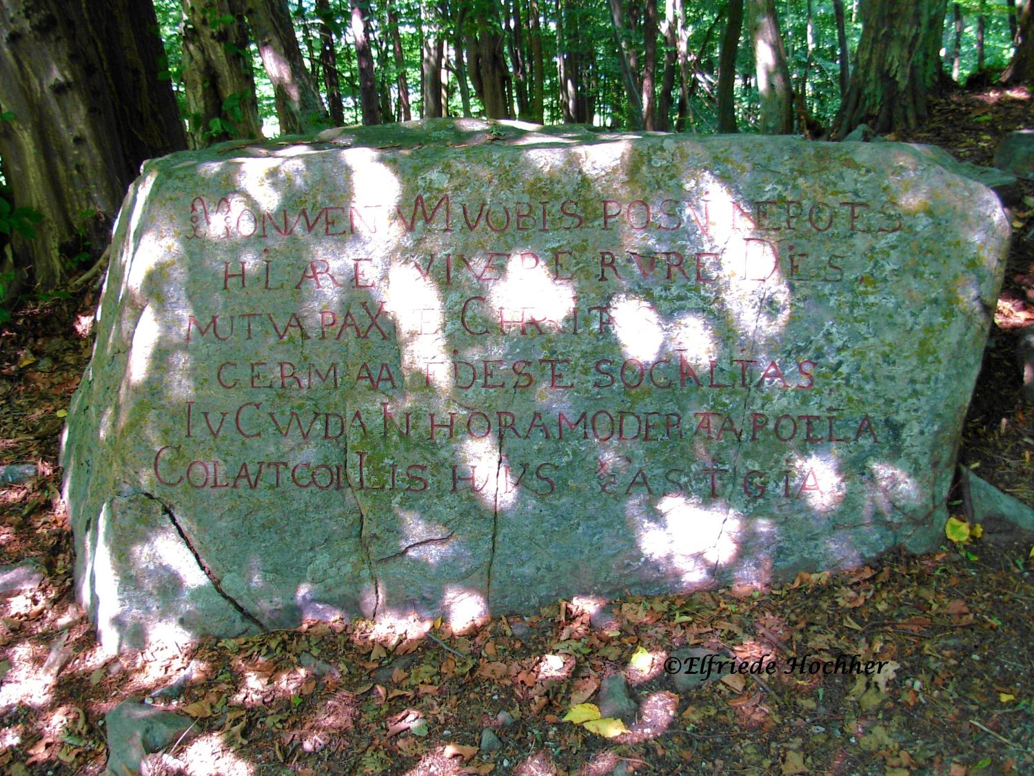 Gedenkstein auf dem Kaiserlindenplatz