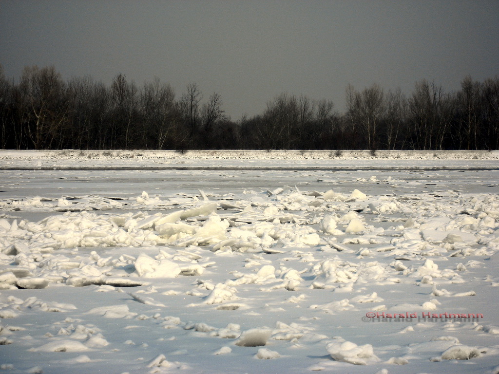 Gefrorene Donau