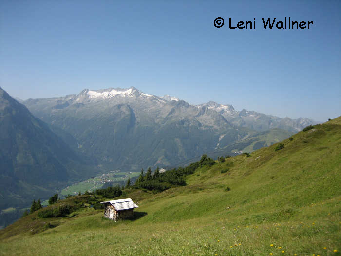 Gernkogel - Bergmähder